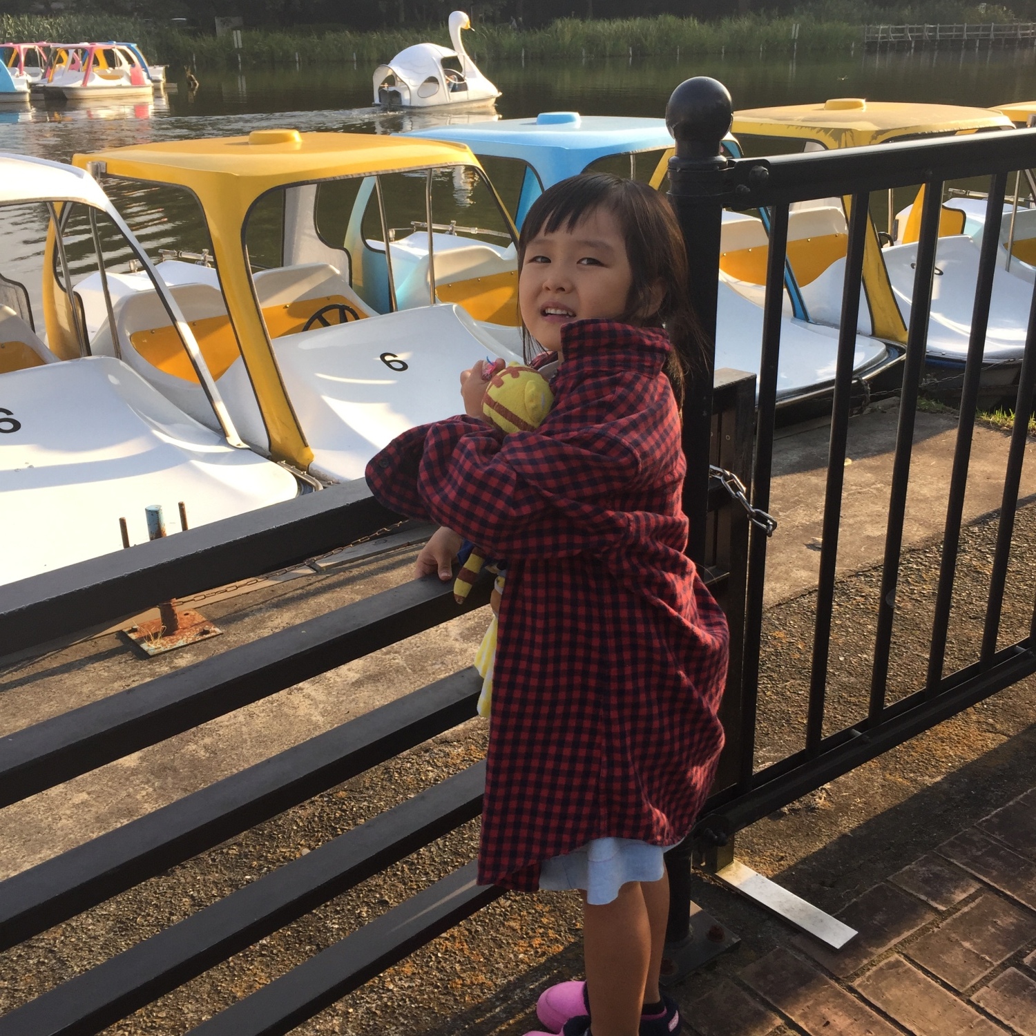 石神井公園のボート 画像