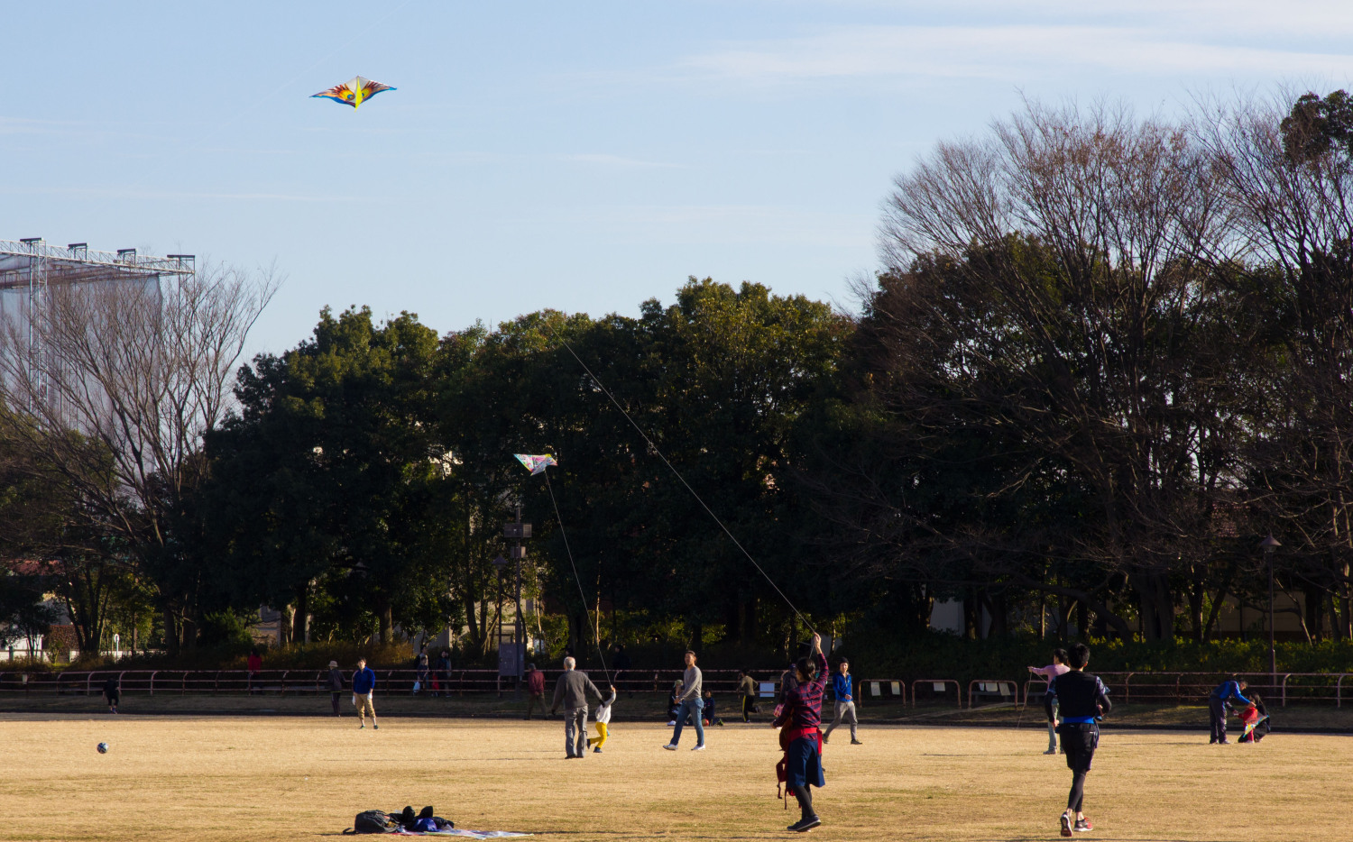 正月といえば、凧揚げ 画像
