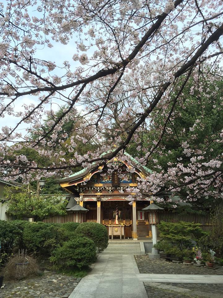 武蔵野稲荷神社の朝