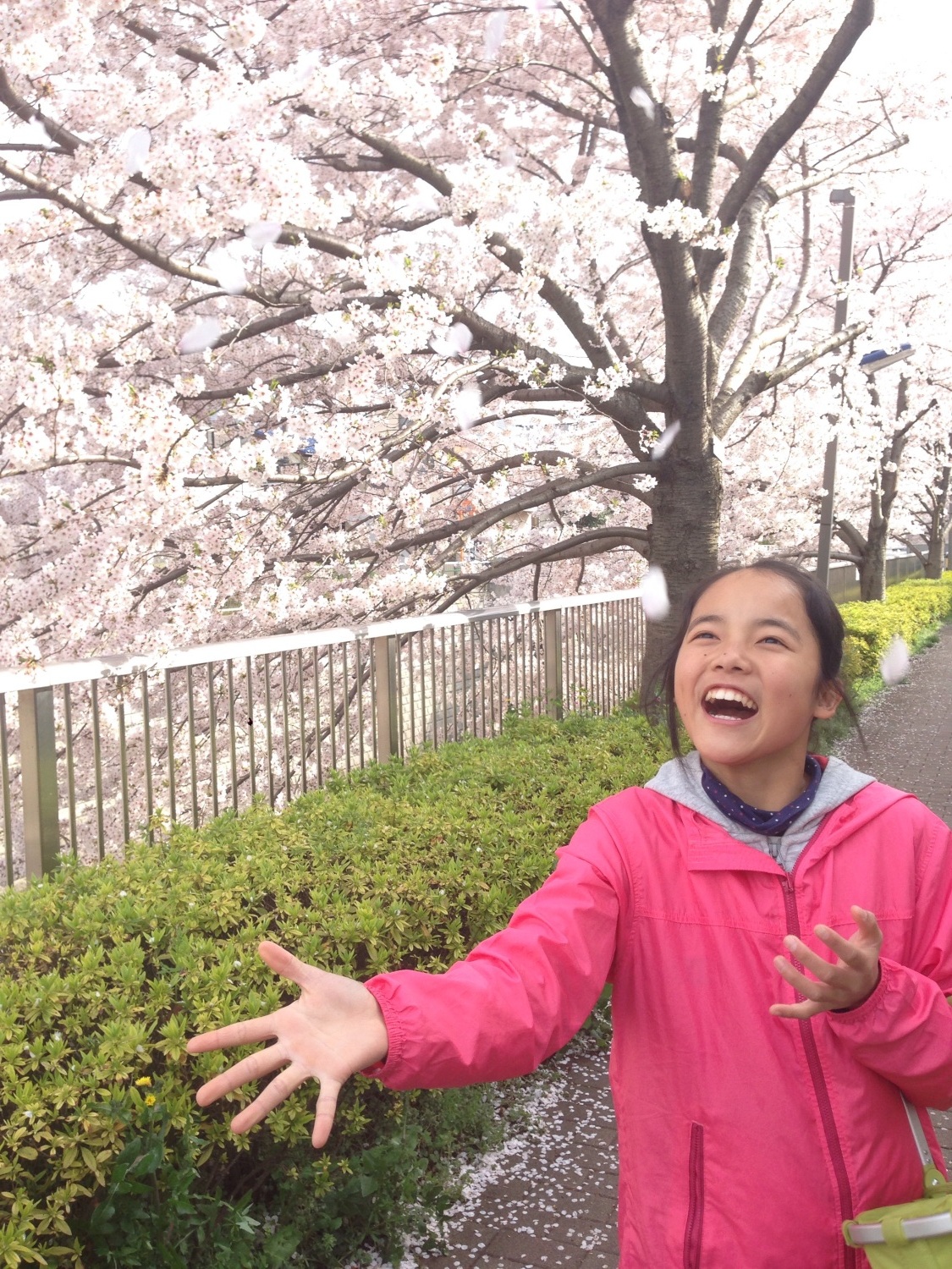 桜咲く、笑顔咲く
