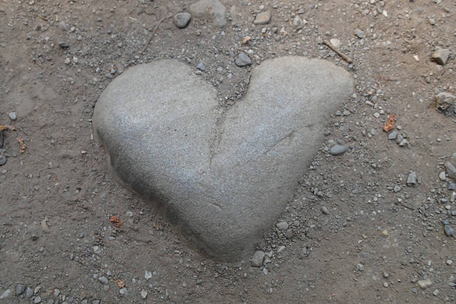 武蔵関公園で見つけたハート石です。