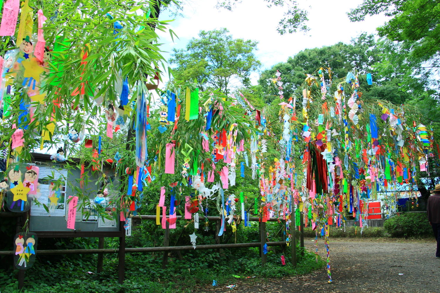 石神井公園の七夕祭り 画像