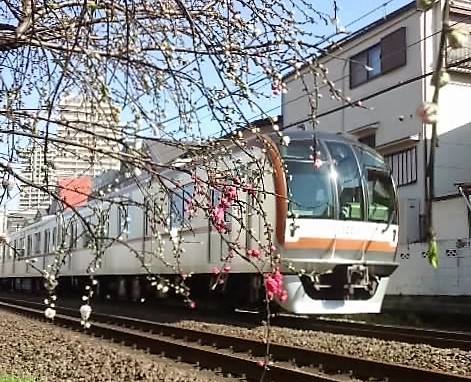 鉄道と桜 画像