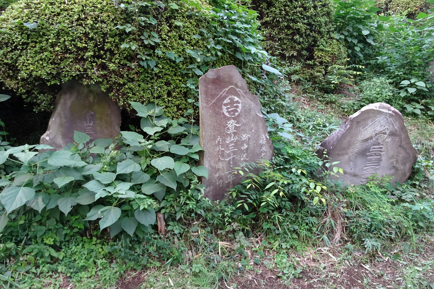 大泉町　八坂神社の富士塚 画像