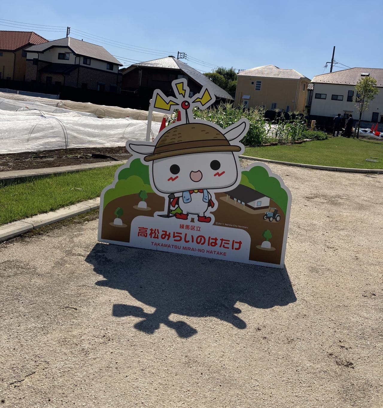 抽選結果のお知らせ【ねりま観光ツアー】農の恵みと風景をめぐるツアー「よみがえった江戸東京野菜　練馬大根収穫体験」ツアー