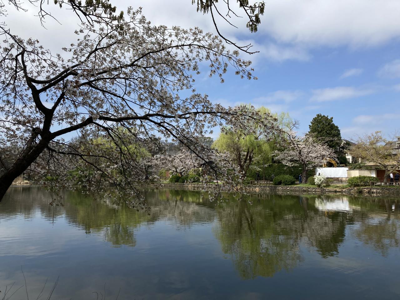抽選結果のお知らせ【ねりま観光ツアー】石神井文学散歩ツアー 1