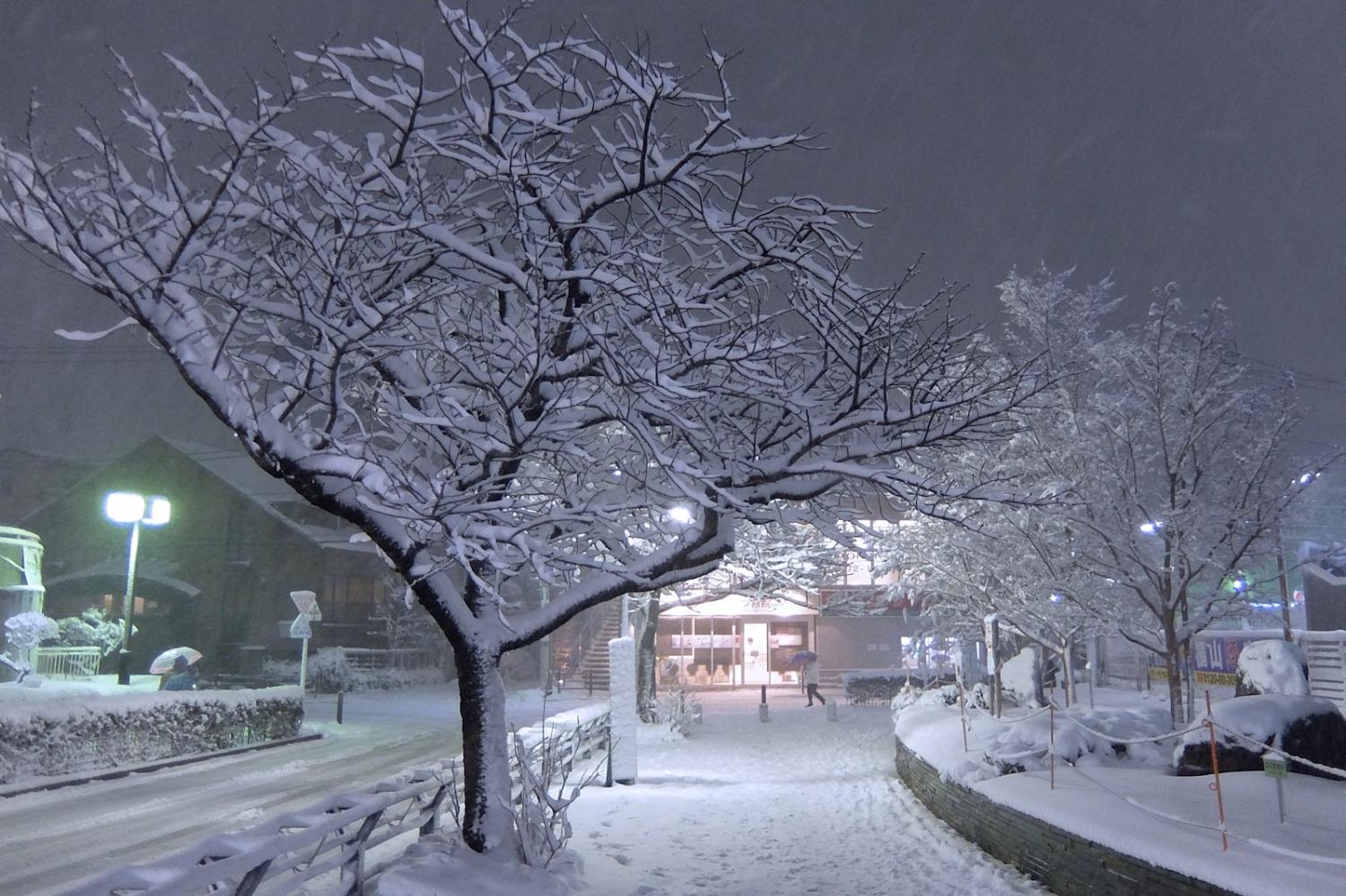 大雪の夜、練馬高野台駅前にて