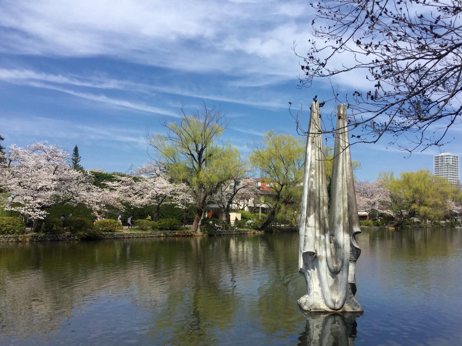 桜とヤマブキ 画像