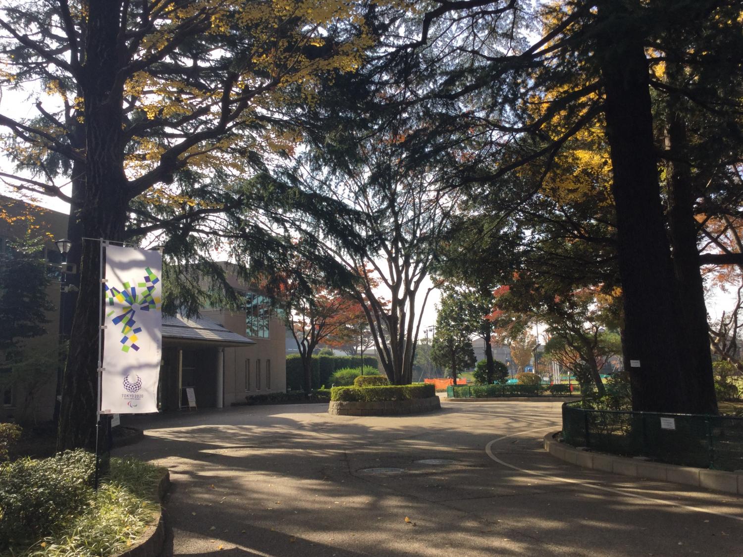 松の風文化公園の紅葉 画像