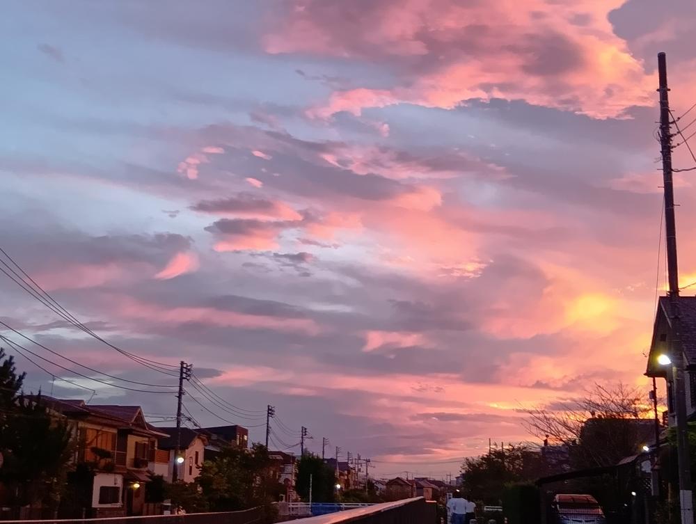 夕焼けとビル～石神井川から石神井公園駅方面～ 画像