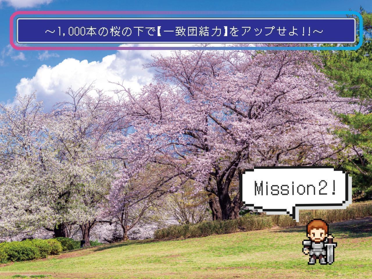 【ミッション2】～1,000本の桜の下で【一致団結力】をアップせよ！～