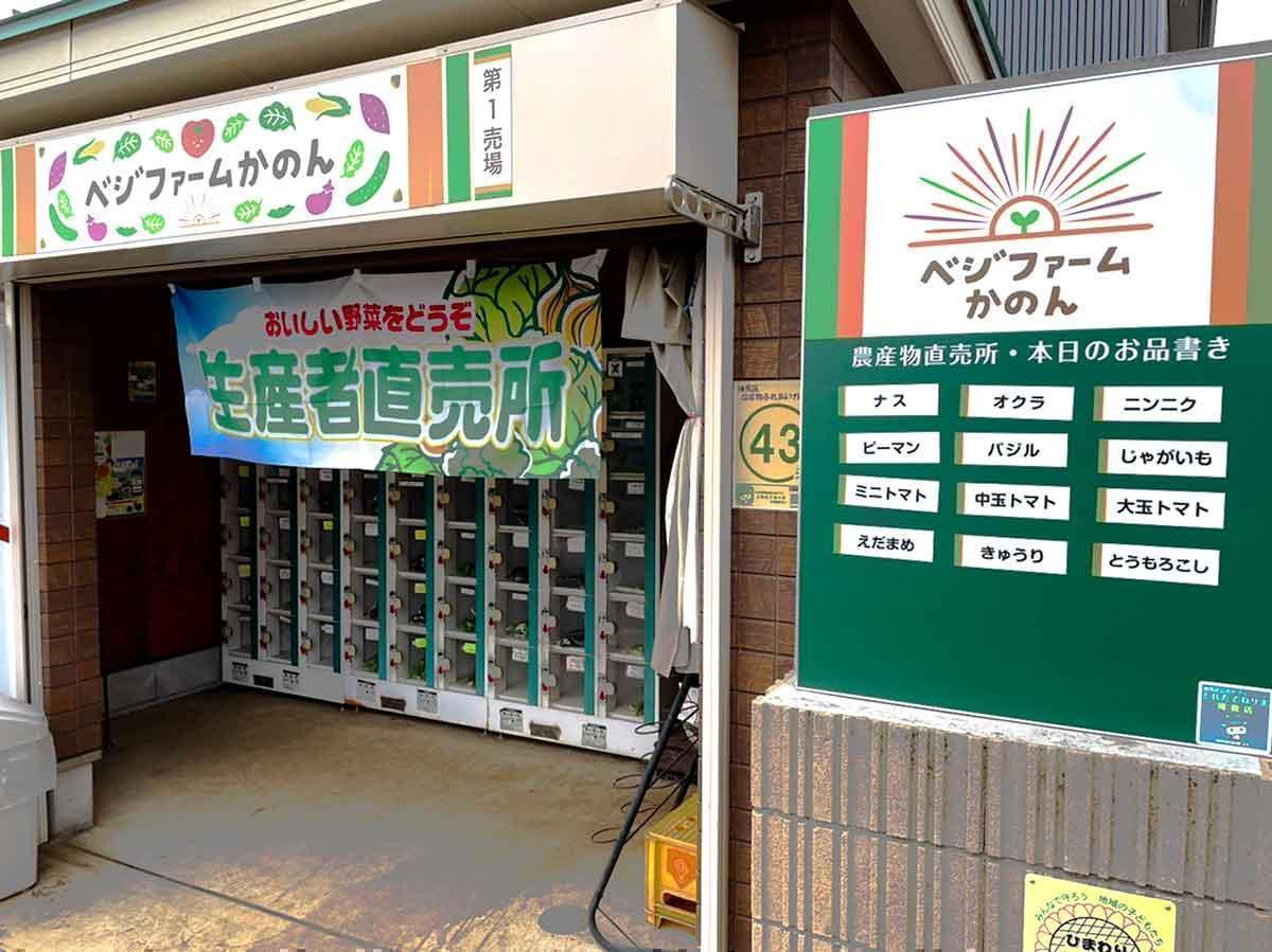 2025年度　第7回【ねりま観光ツアー】芸術！＆食欲？の秋　ちひろ美術館・東京で鑑賞＆ベジファームかのんでサツマイモ掘りツアー　参加者募集 3