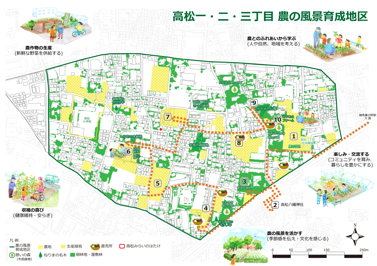 2025年度 第10回【ねりま観光ツアー】農の恵みと風景をめぐるツアー「よみがえった江戸東京野菜 練馬大根収穫体験」参加者募集