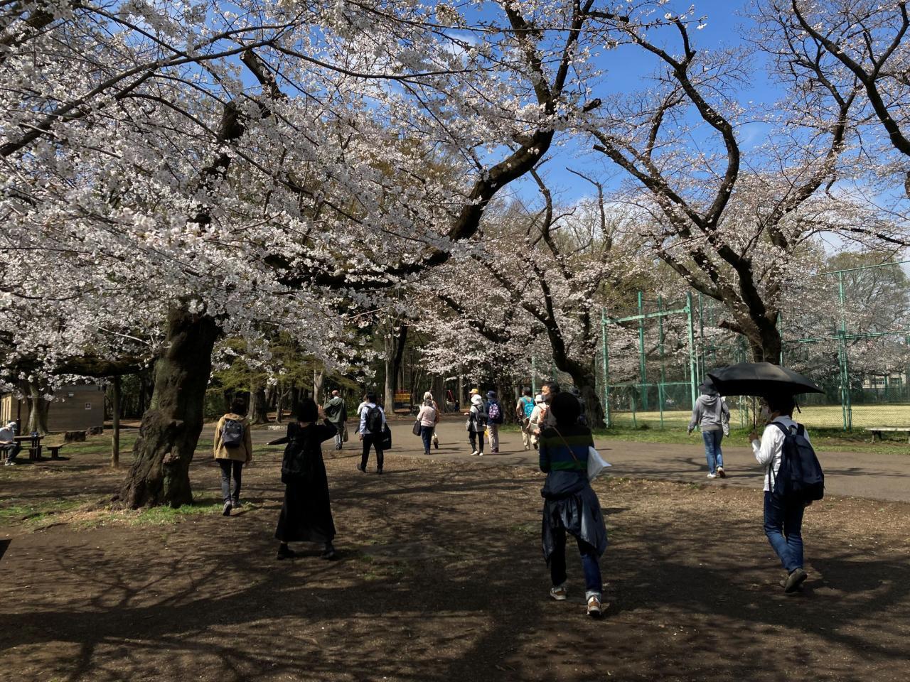 2026年度　第1回【ねりま観光ツアー】元学芸員による案内つき！！ 「石神井文学散歩を楽しもう」ツアー参加者募集