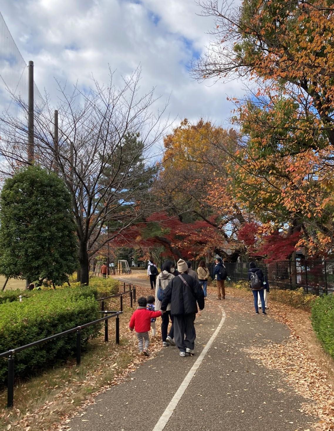 石神井松の風文化公園（素材採取）