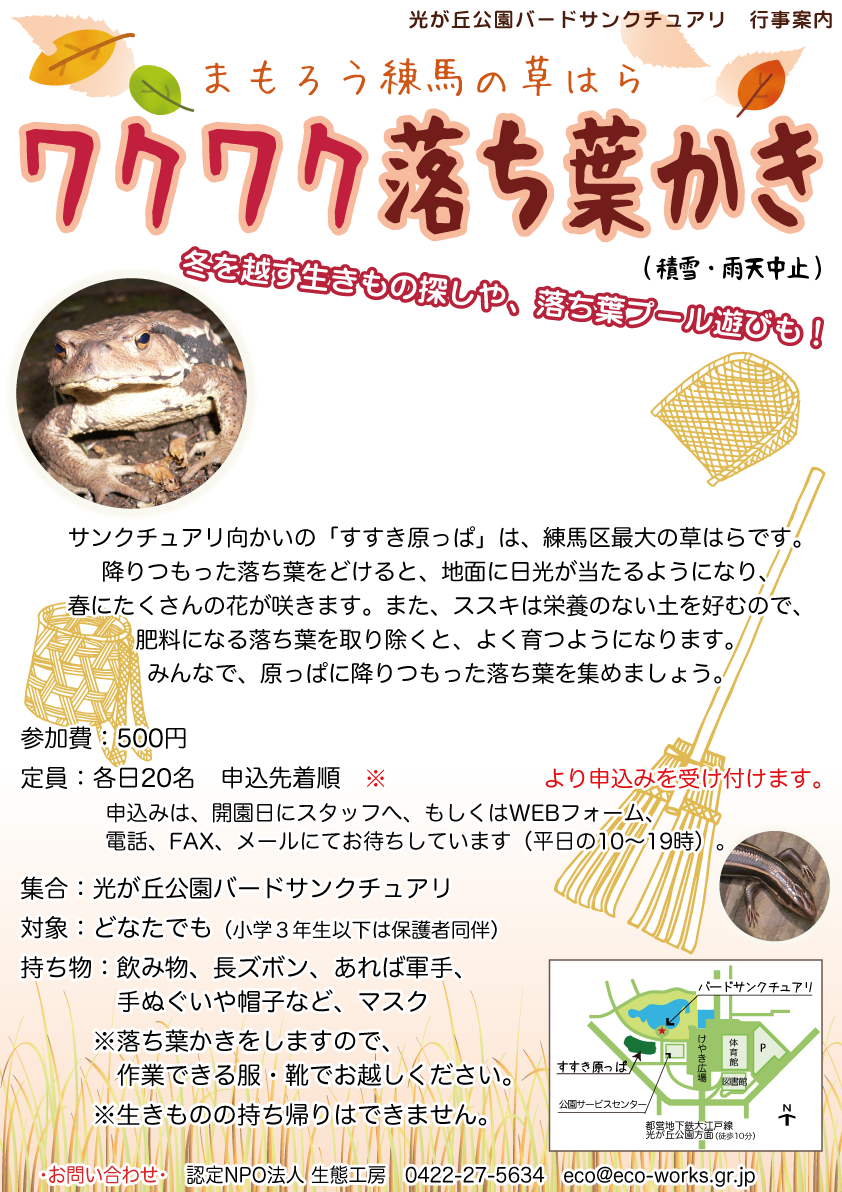 まもろう練馬の草はら ワクワク落ち葉かき