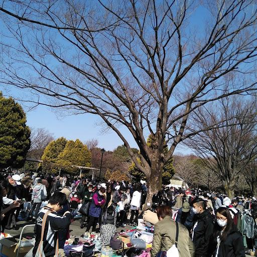 光が丘公園　フリーマーケット