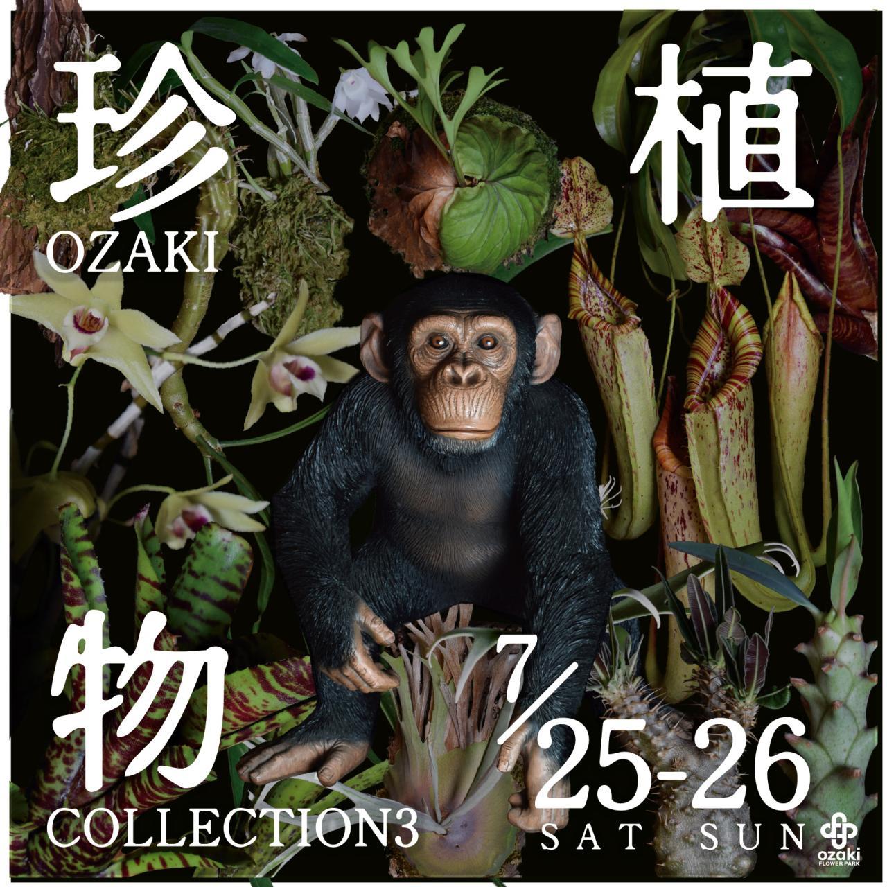 オザキ珍植物コレクション３